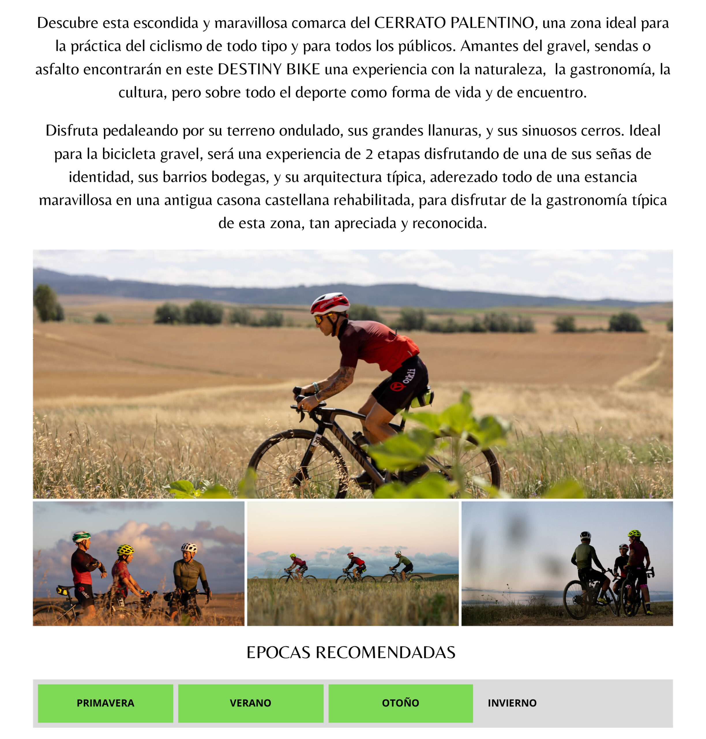DB-El-Portal-del-Cerrato-1
