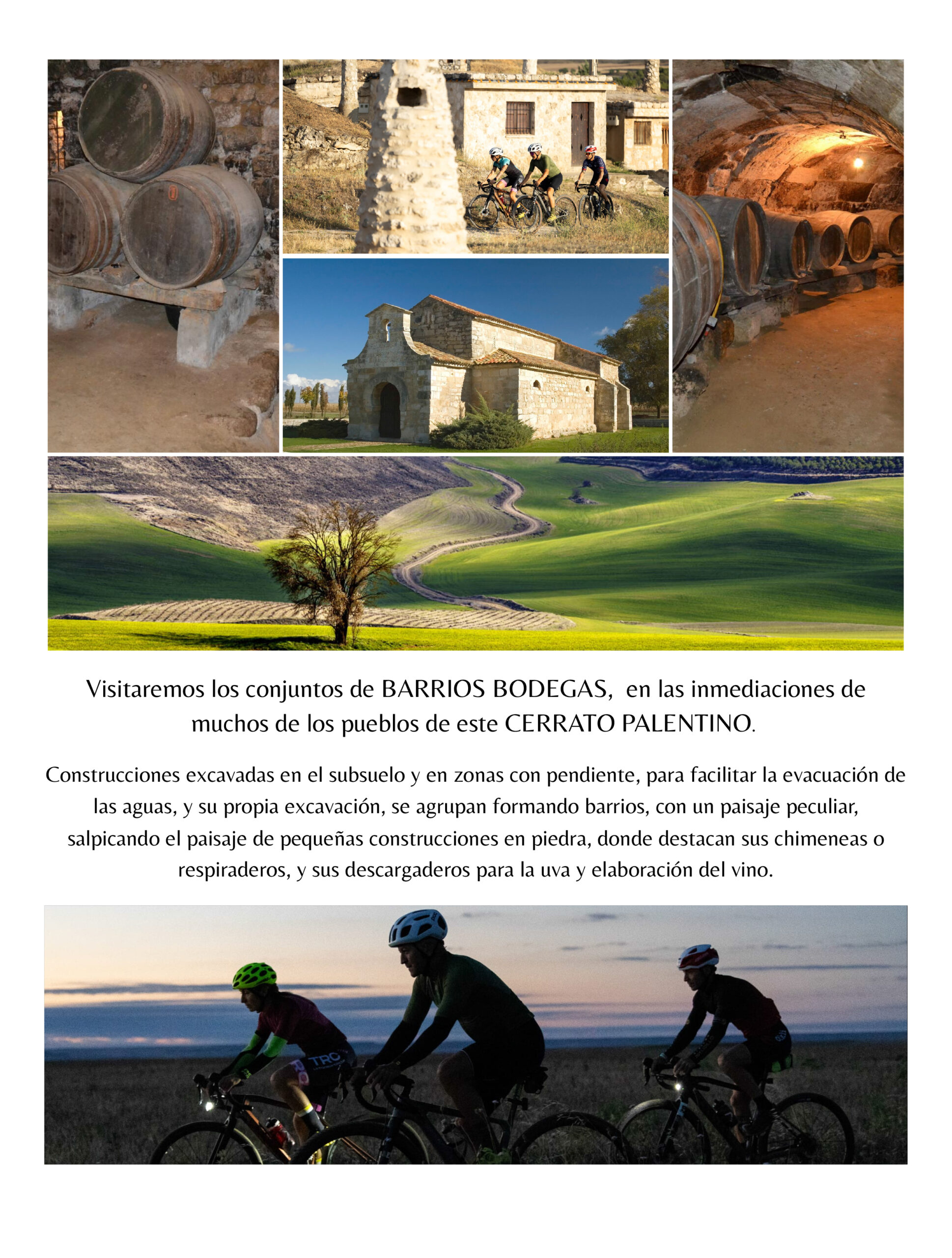 DB-El-Portal-del-Cerrato-4